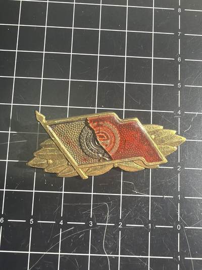 古冰库章牌勋赏收藏0起拍卖 东德特级工战队徽章 