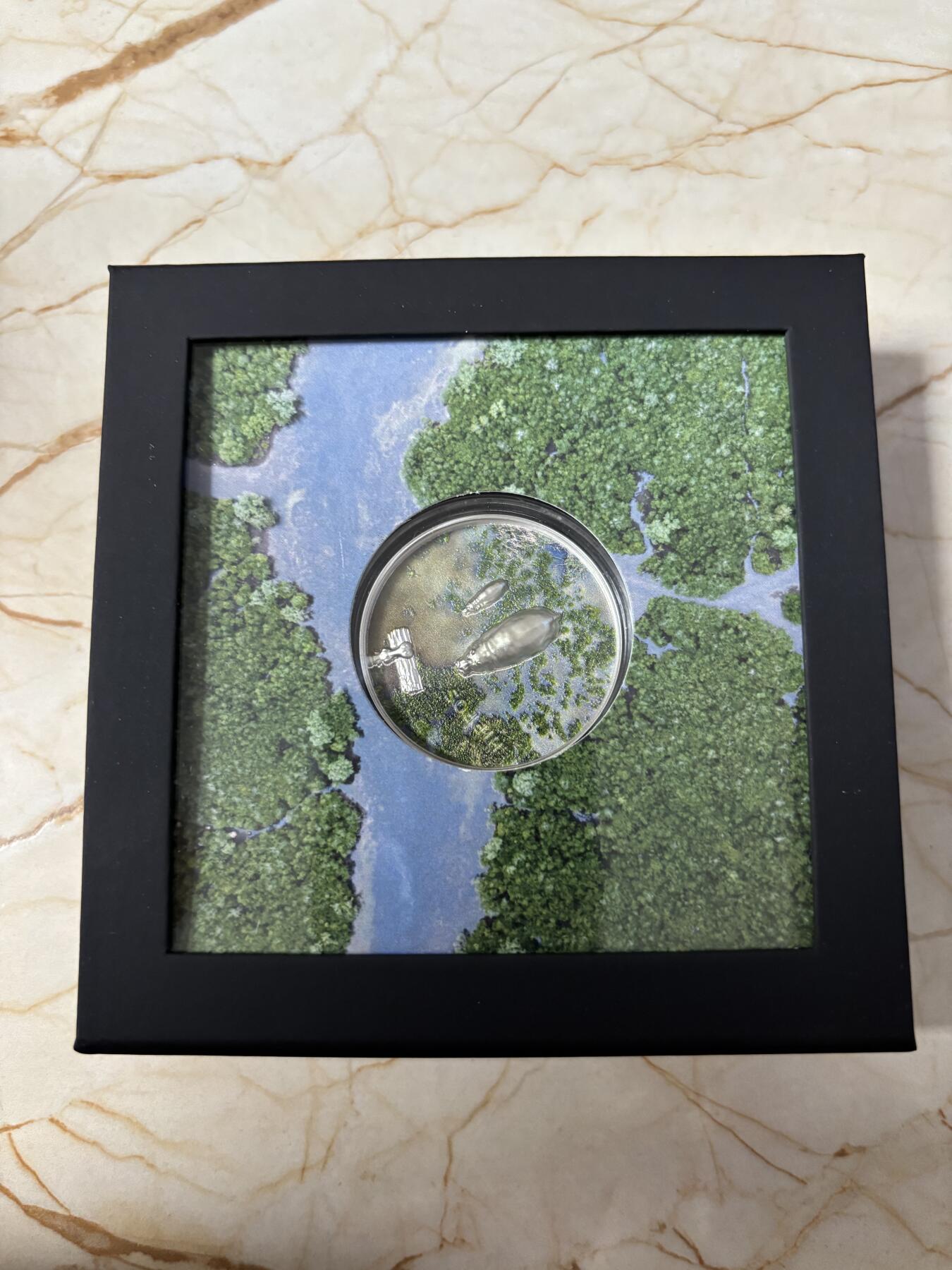 第189期拍卖 帕劳2023年危险动物河马1盎司双面高浮雕纪念彩色银币，999银，发行2023枚