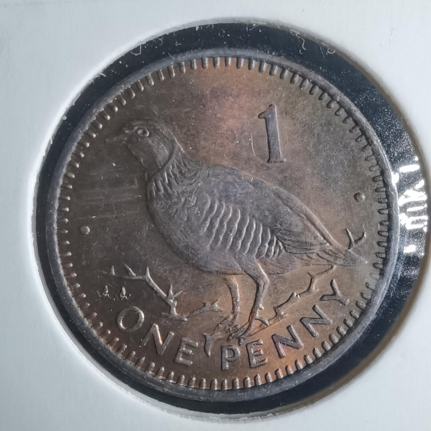 沼泽如烟--第970场