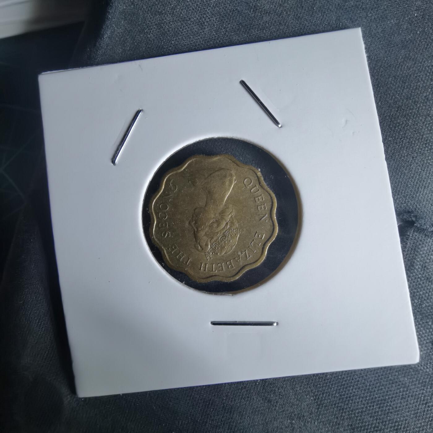 沼泽如烟--第971场