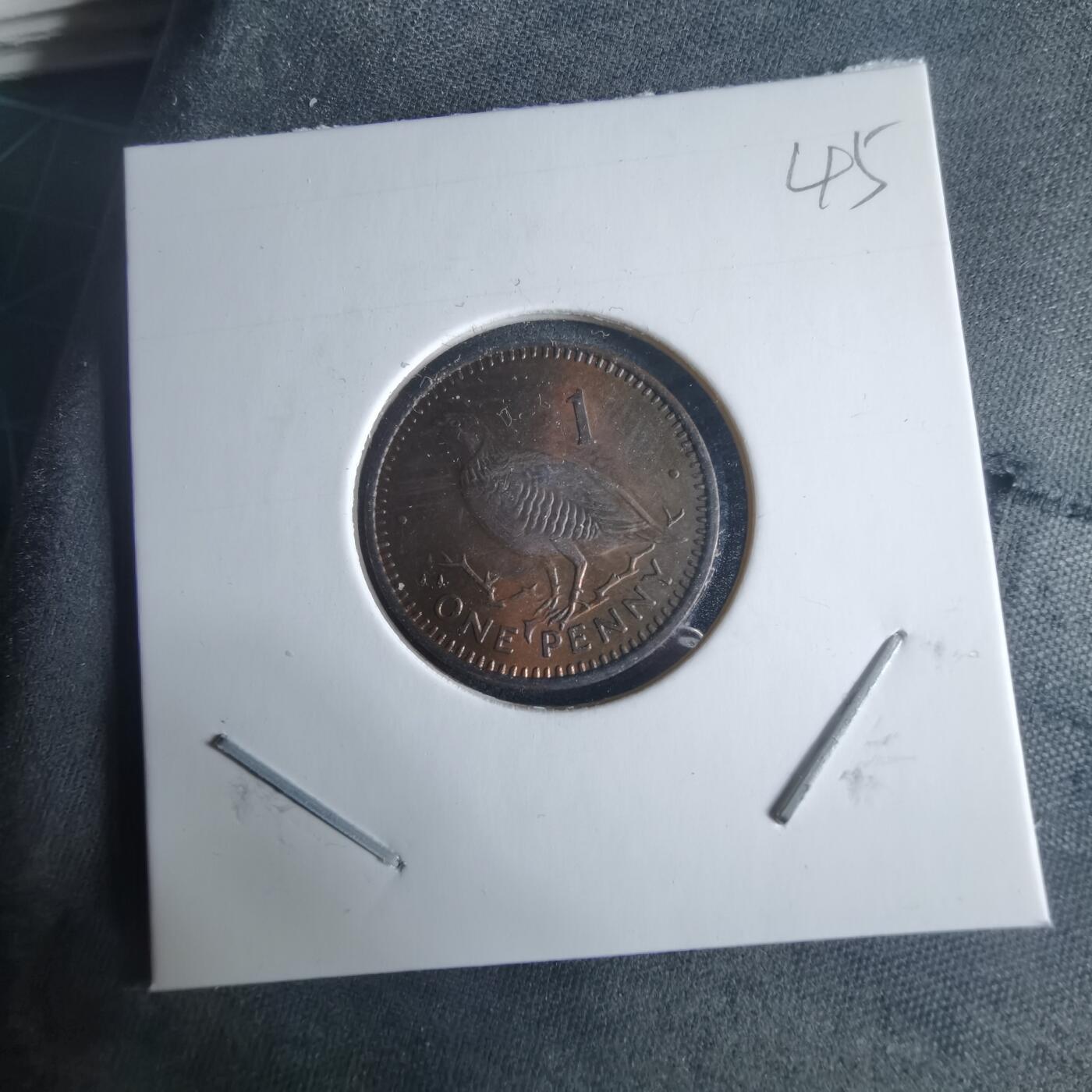 沼泽如烟--第970场