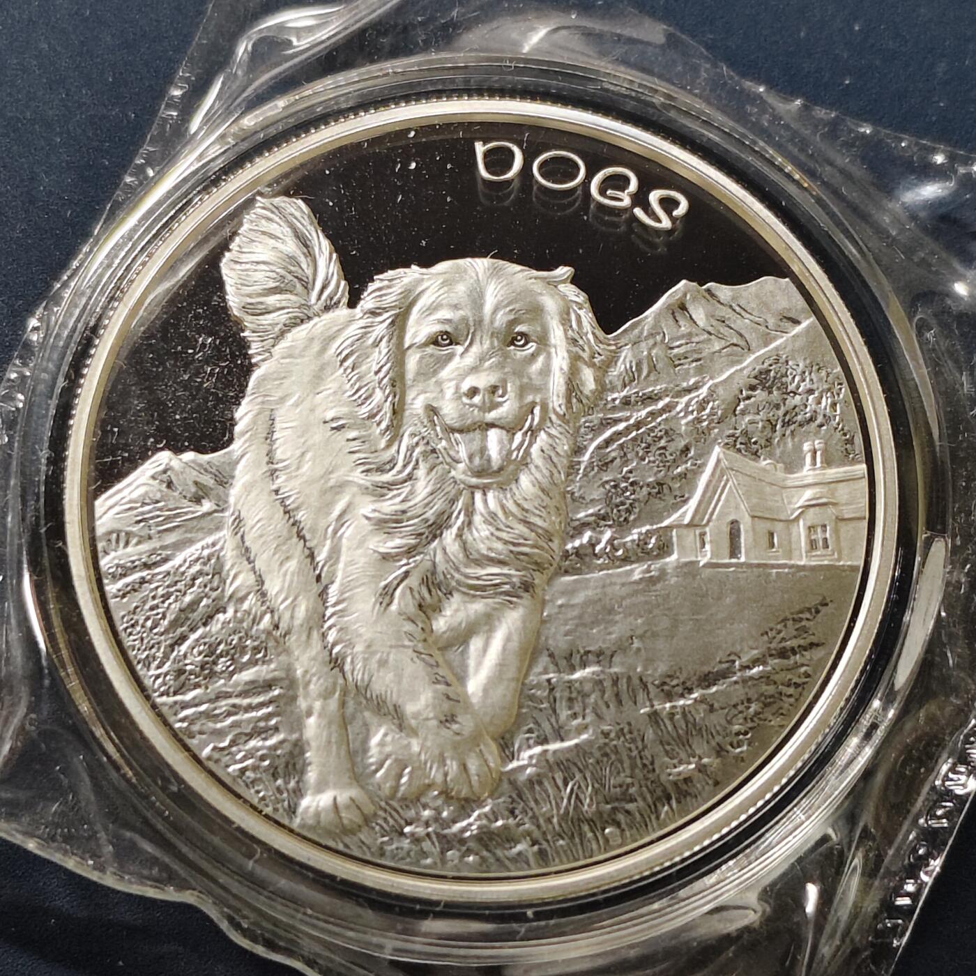 【全场包邮】纯粹捡漏拍497场-持续更新中