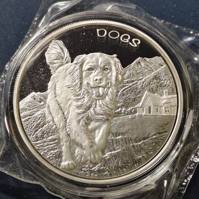 【全场包邮】纯粹捡漏拍497场-持续更新中 - 斐济