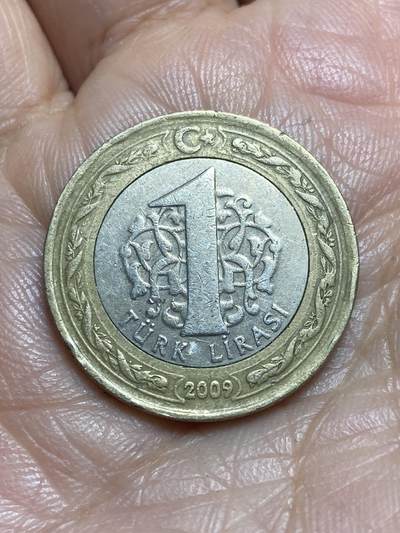 2026年第十三场(总第一百八十二场）外国好品散币场(免佣金) - 土耳其🇹🇷2009年1