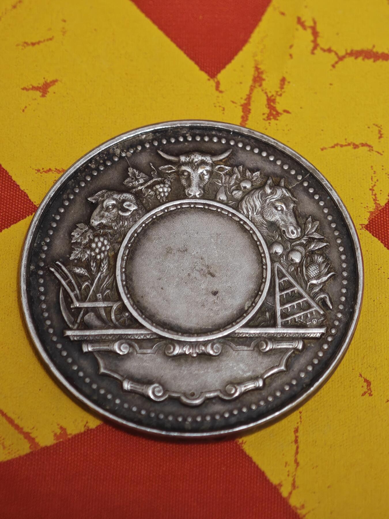 橙子收藏第一期 法国厄尔省莱桑迪丽区农业镀银铜章 直径41毫米，重量32.2克