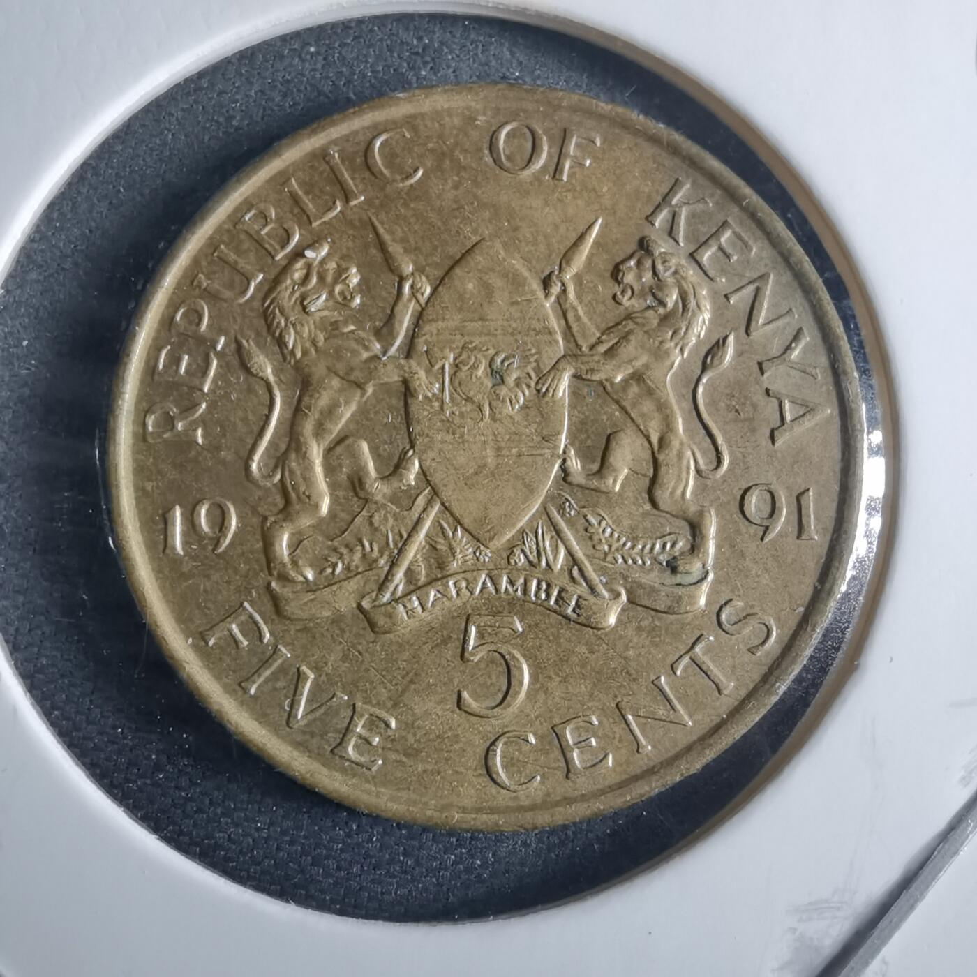 沼泽如烟--第970场