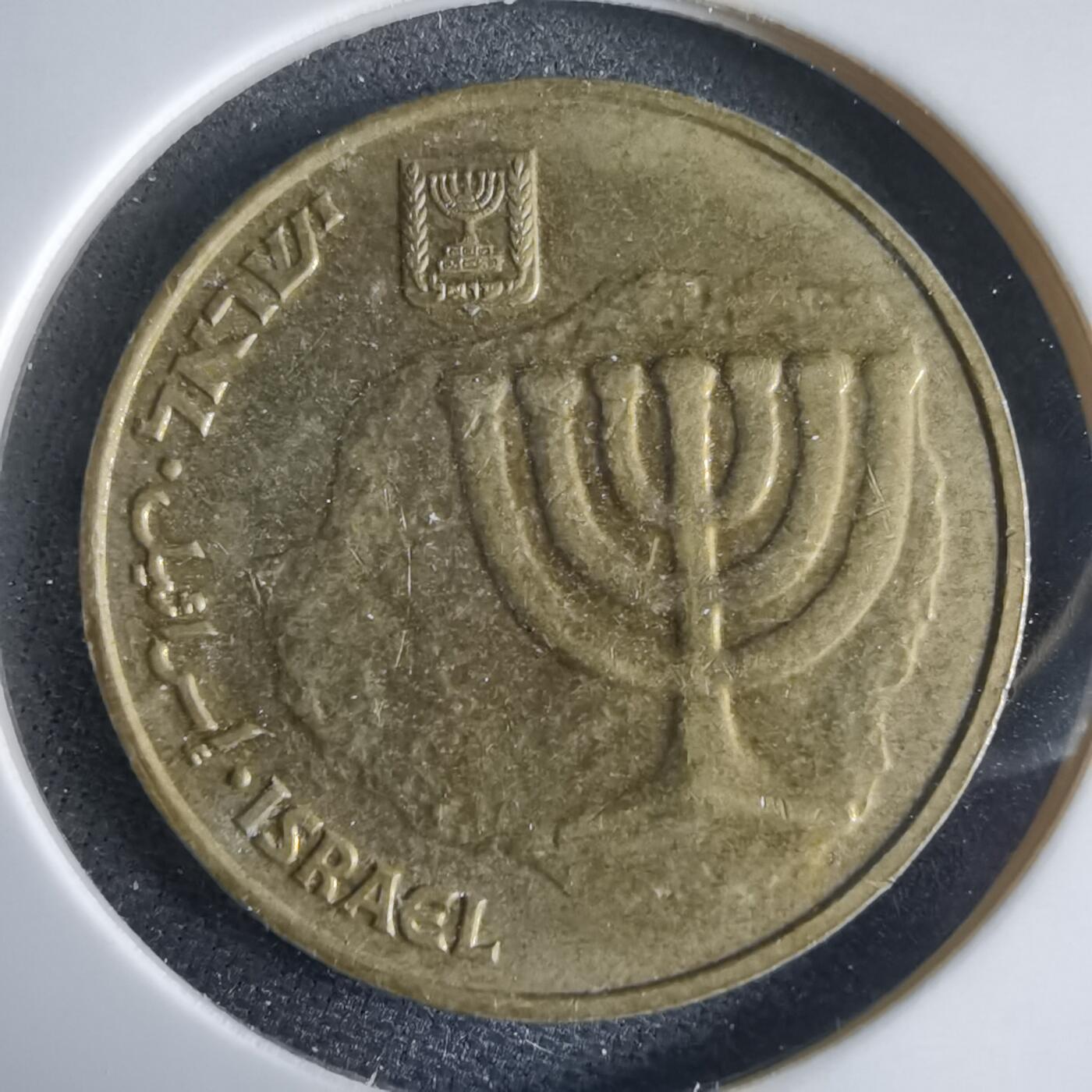 沼泽如烟--第969场