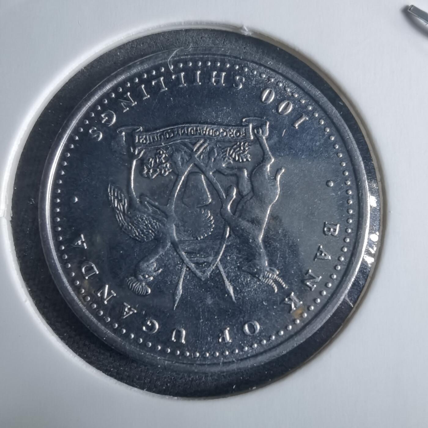 沼泽如烟--第970场 乌干达2004年100先令羊