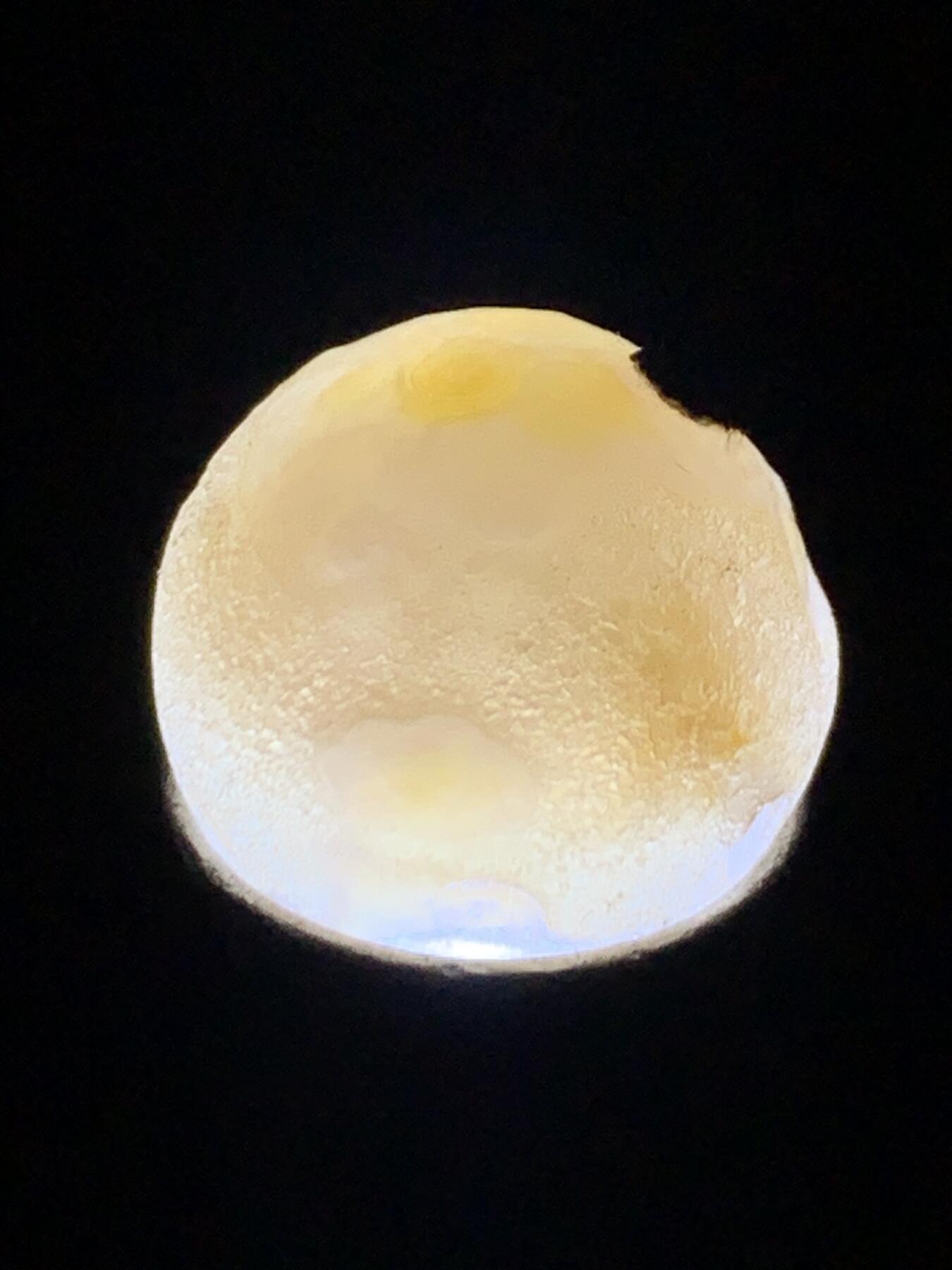 精美原皮冰飘风化纹气泡图案图案战国红玛瑙随形珠一个，