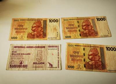 零零发流通品外国纸币拍卖 无佣金 - 津巴布韦