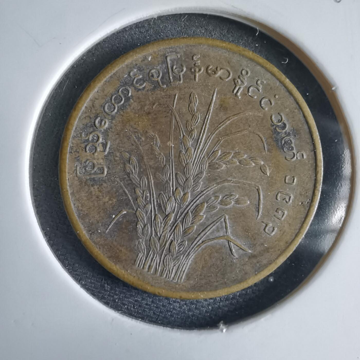 沼泽如烟--第969场 缅甸