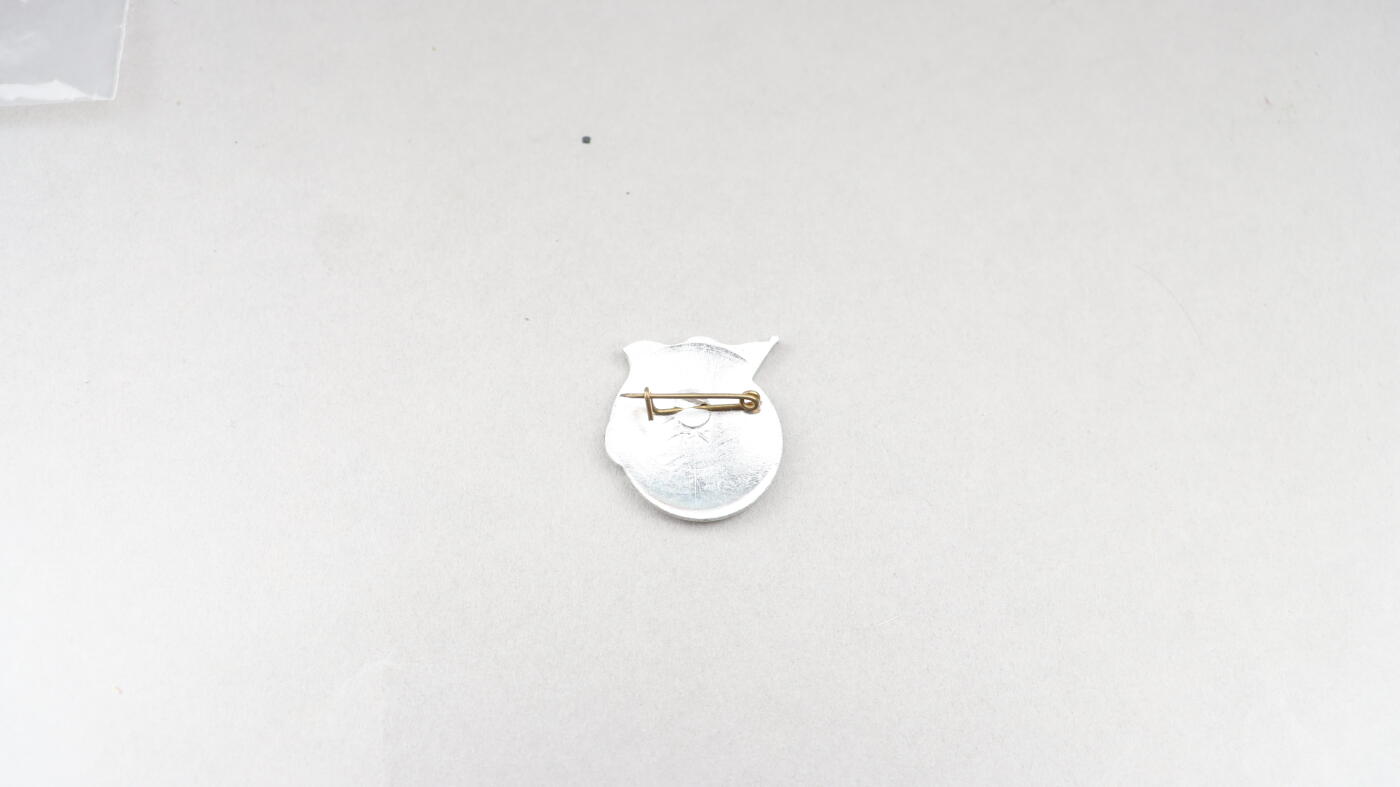 迎新年徽章专场-历代徽章21 越南举旗章