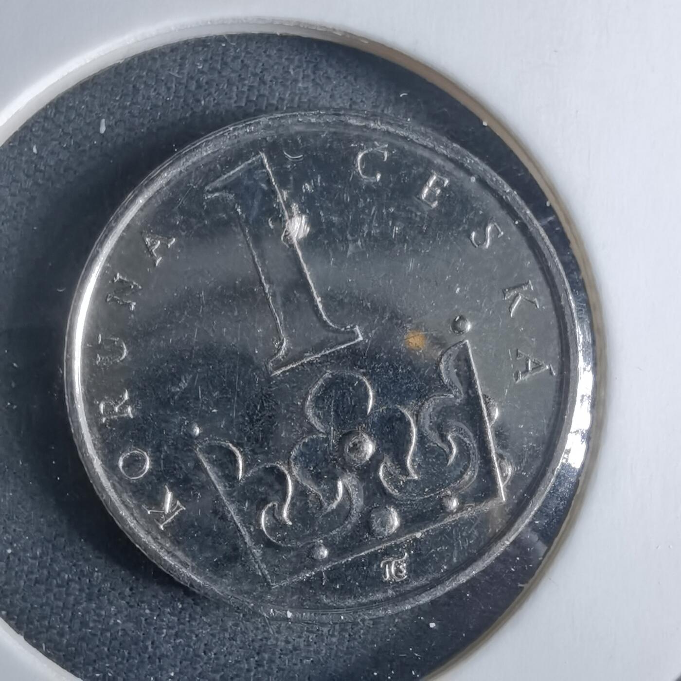 沼泽如烟--第970场