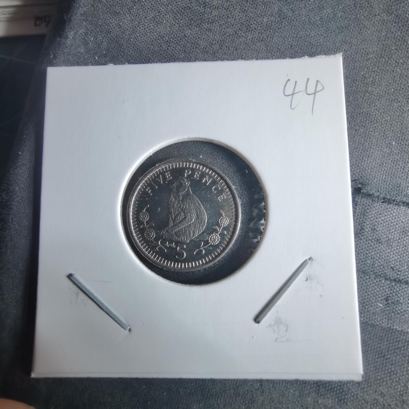 沼泽如烟--第970场