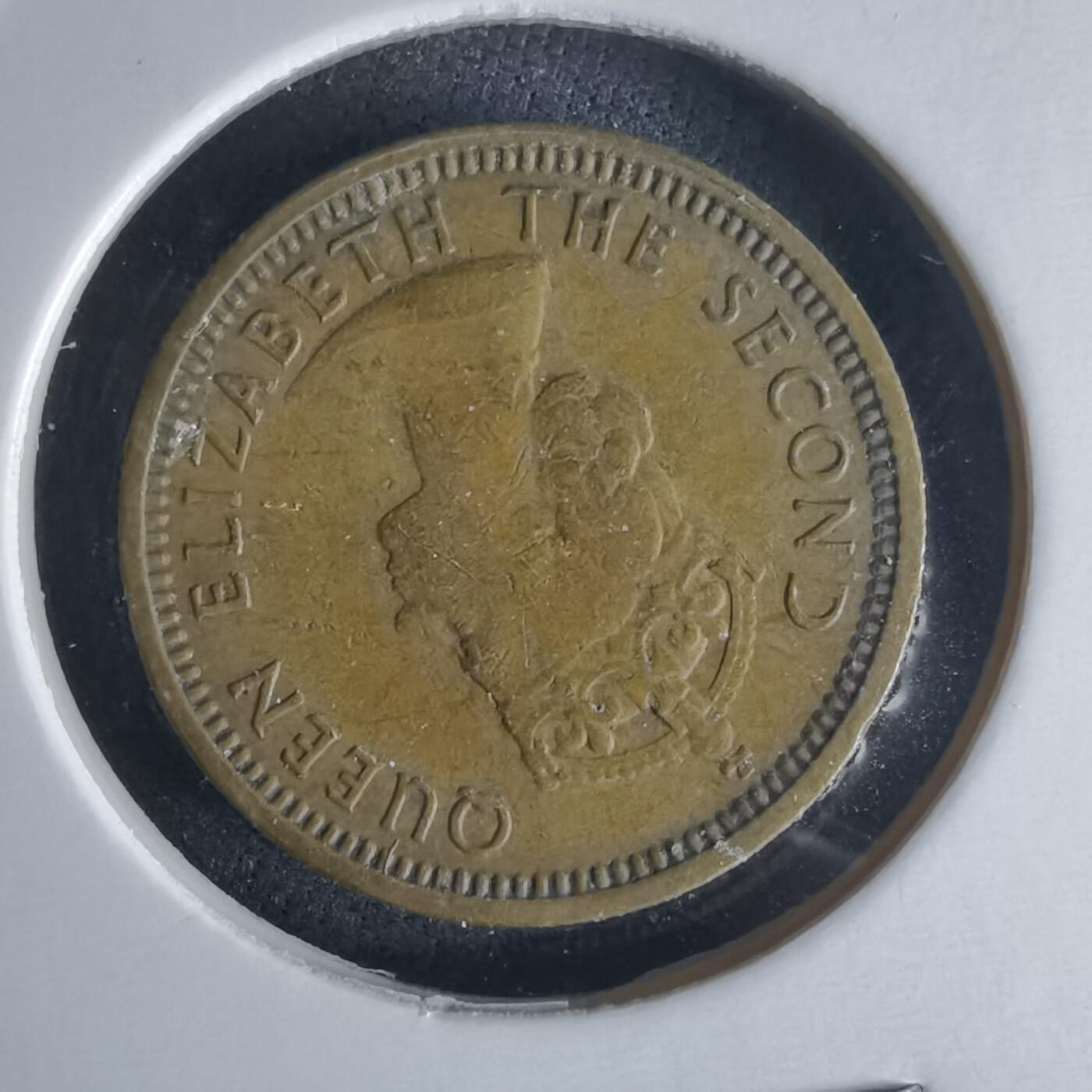 沼泽如烟--第971场 香港1960年五仙