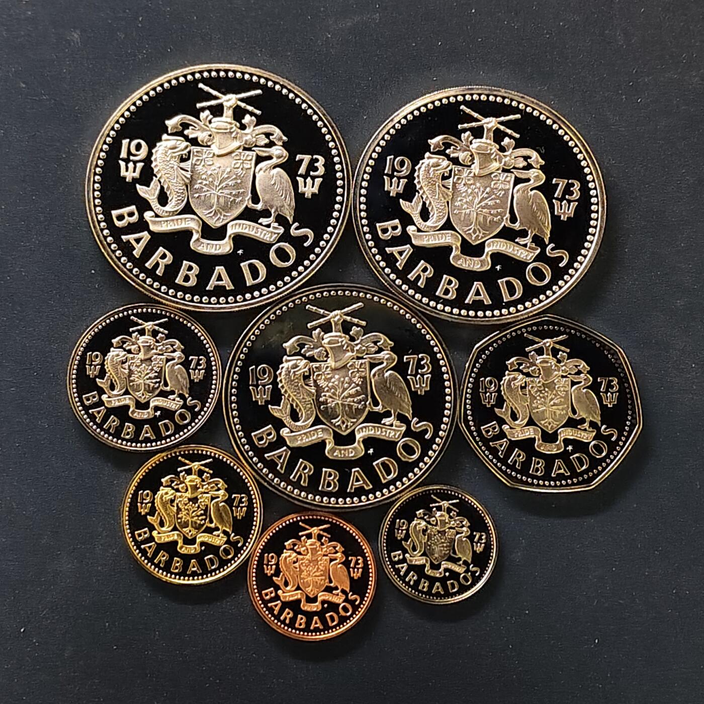 【全场包邮】纯粹捡漏拍497场-持续更新中 巴巴多斯