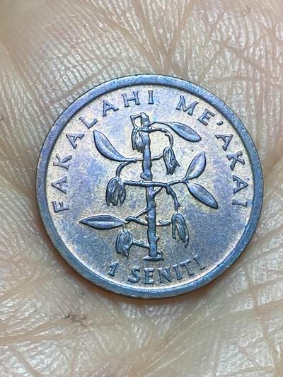 2026年第十三场(总第一百八十二场）外国好品散币场(免佣金) - 汤加🇹🇴1996年1分(世界粮食日流通硬币)