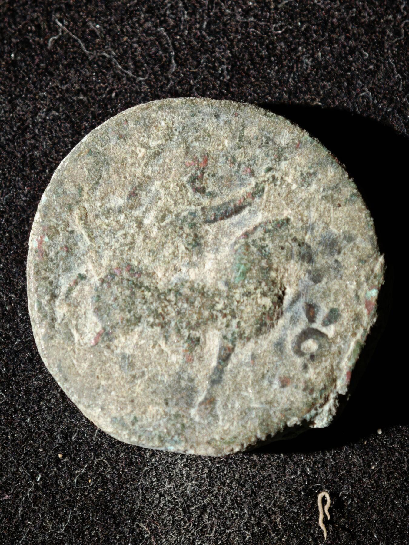 110期新疆红钱粟特钱币丝路钱币专场 A丝路铜币