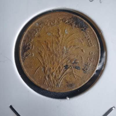 沼泽如烟--第969场 - 缅甸