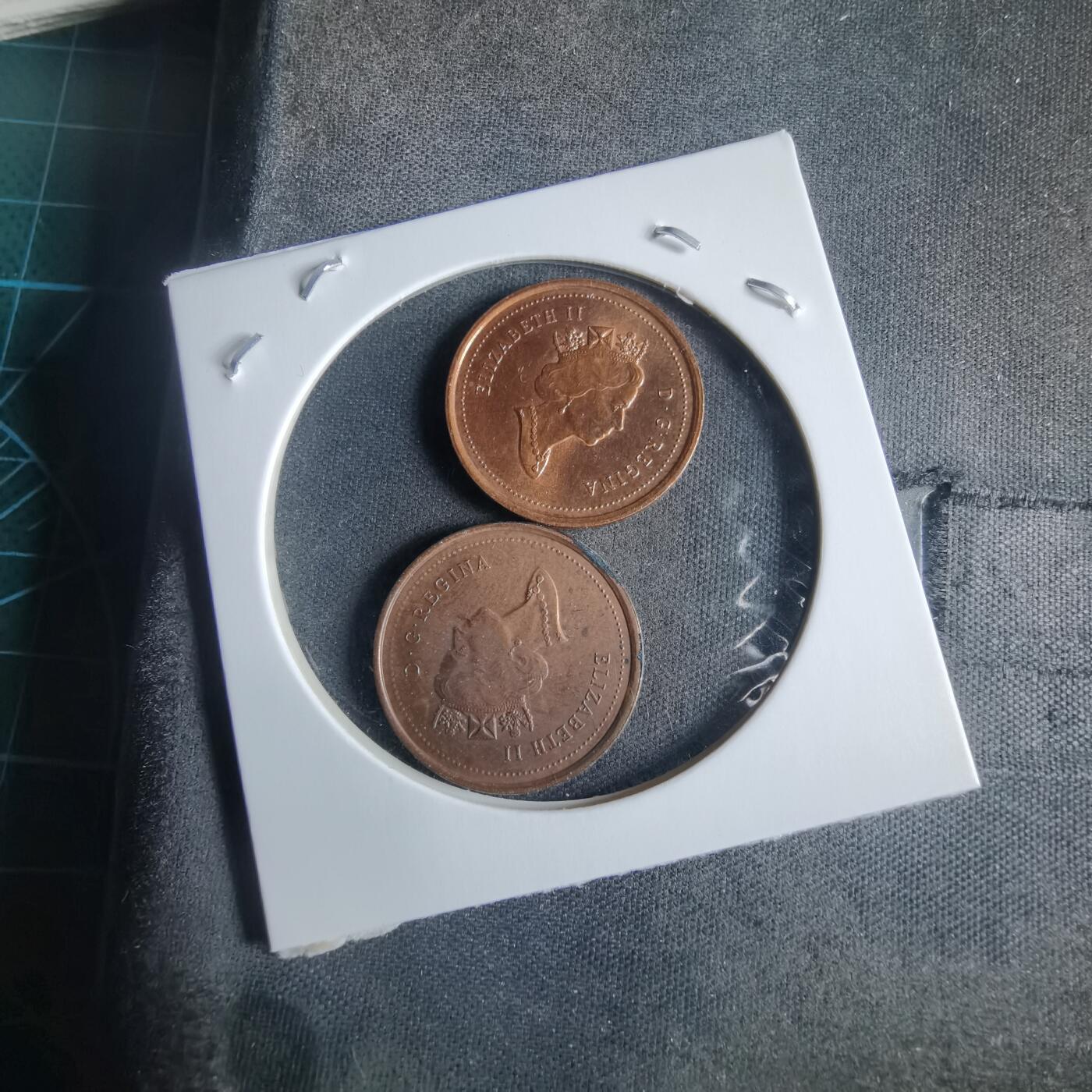 沼泽如烟--第970场