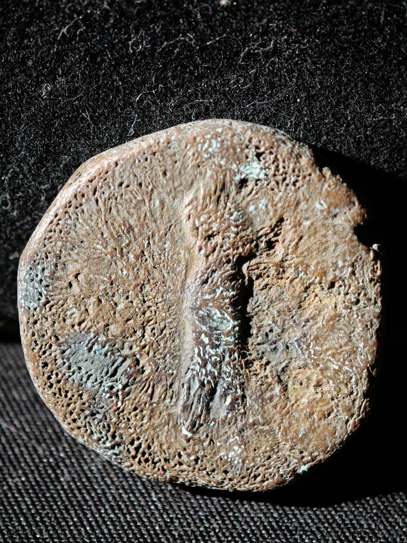 110期新疆红钱粟特钱币丝路钱币专场 A丝路铜币