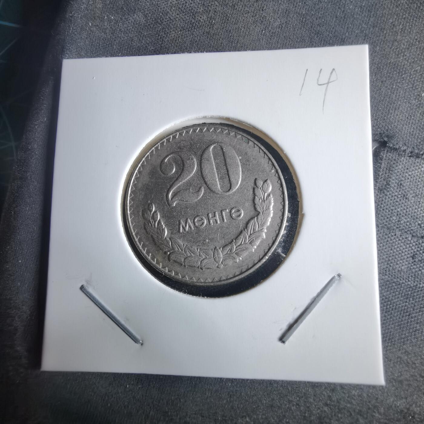 沼泽如烟--第970场