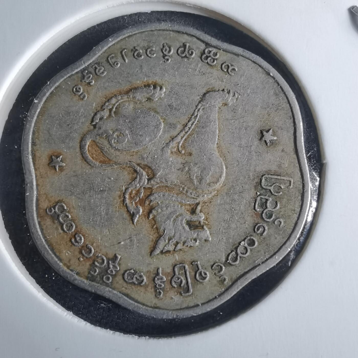 沼泽如烟--第970场