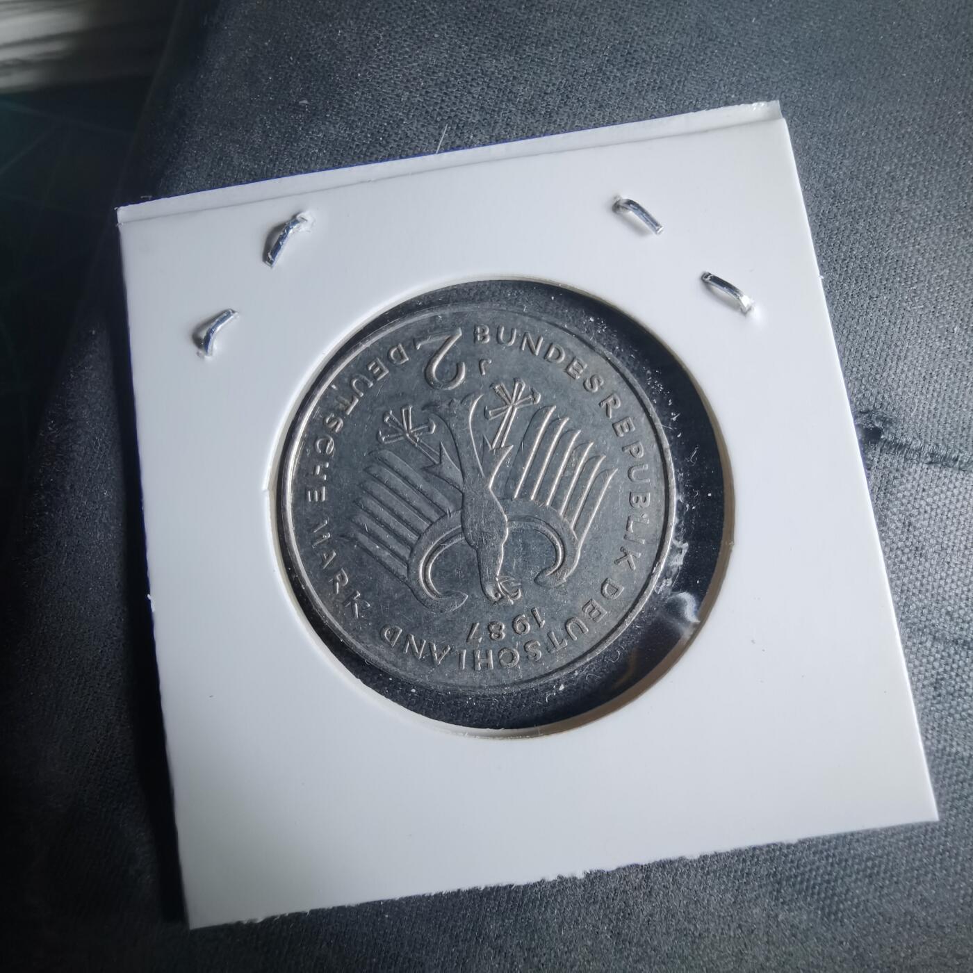 沼泽如烟--第970场