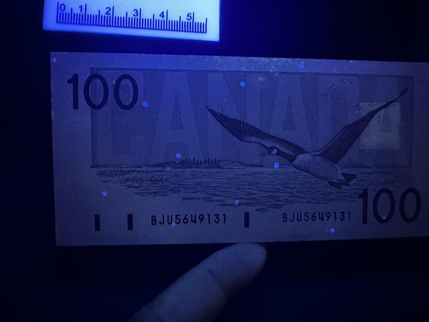 《外钞收藏家》第六百零四期（精品场）（本平台长期征集拍品、欢迎藏友们联系合作） 加拿大鸟100加元 2张一起2个签名 接近全新 边角有些瑕疵 潮点