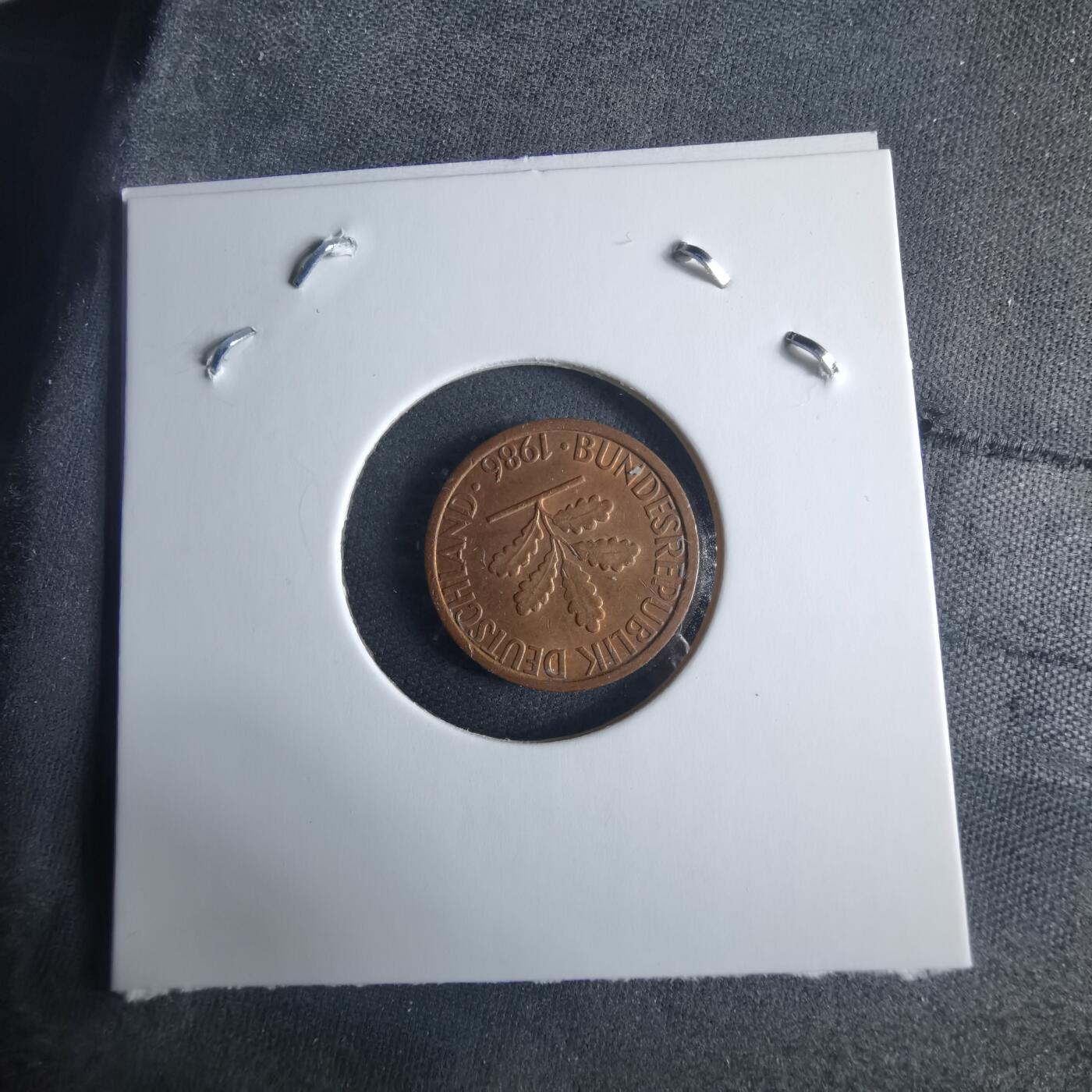 沼泽如烟--第970场