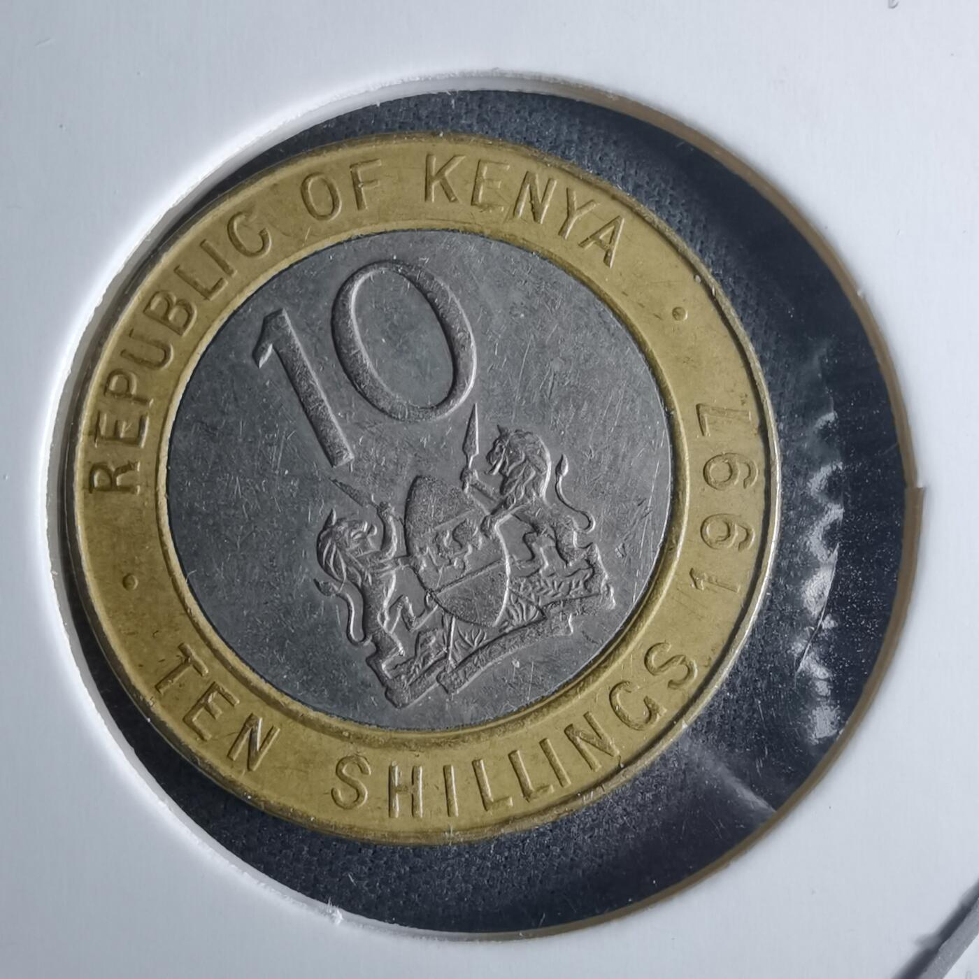 沼泽如烟--第970场