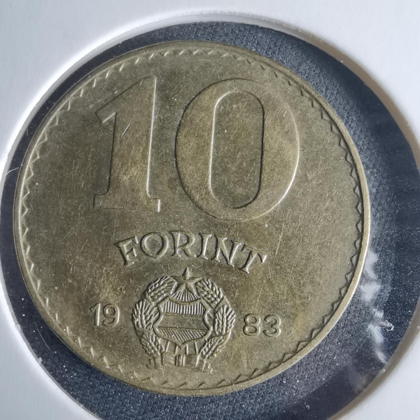 沼泽如烟--第970场