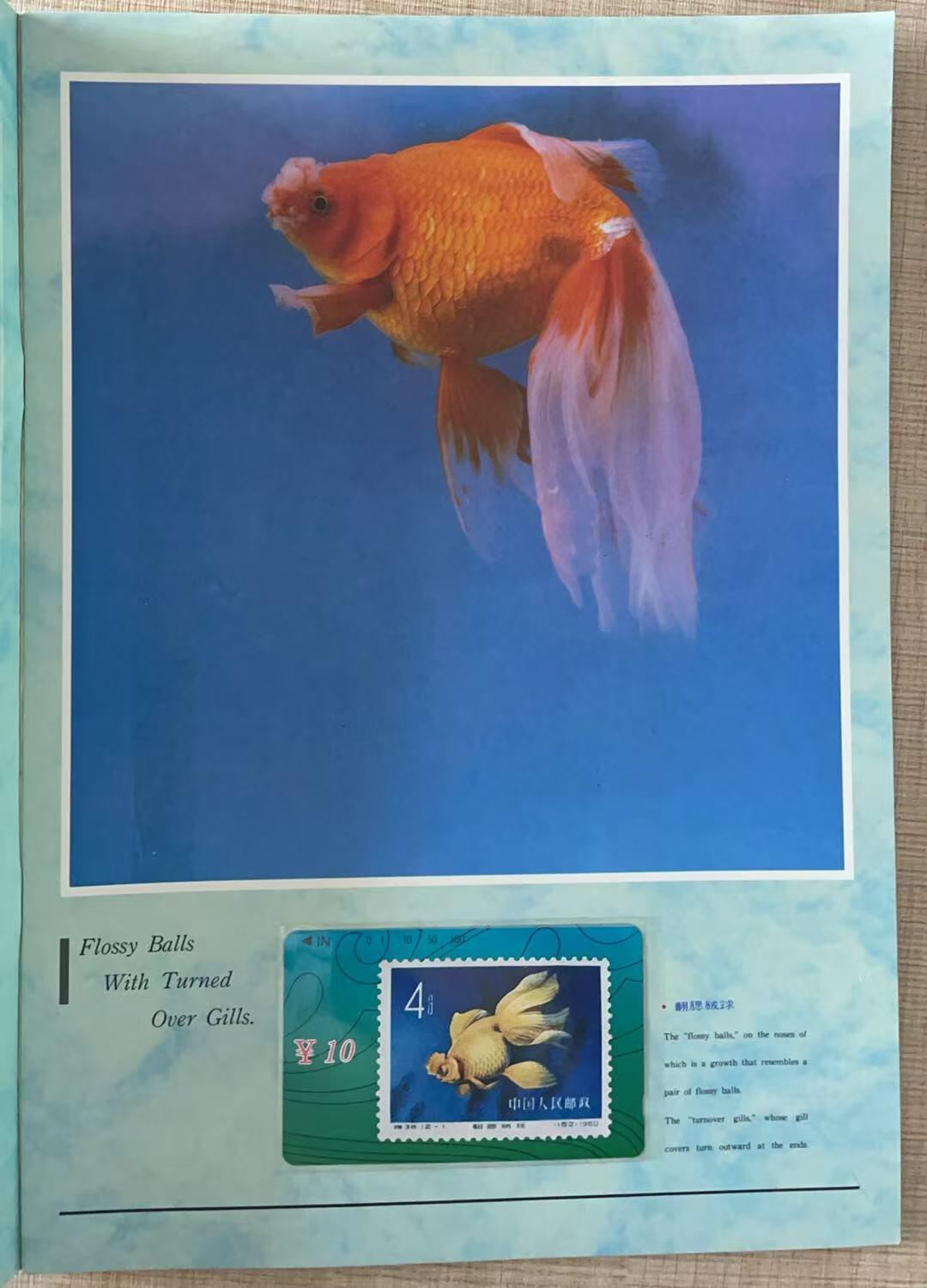 《卡拍》第343期拍卖1月24日晚22：10时延时截拍 甘肃田村卡《金鱼邮票》十二全新卡带册，上品。