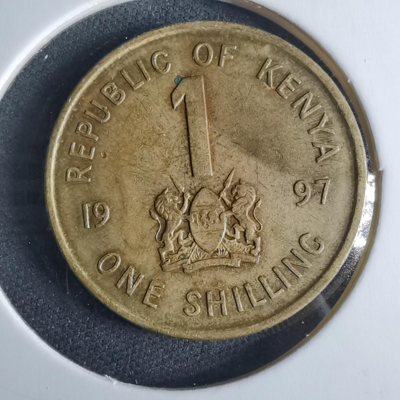 沼泽如烟--第970场