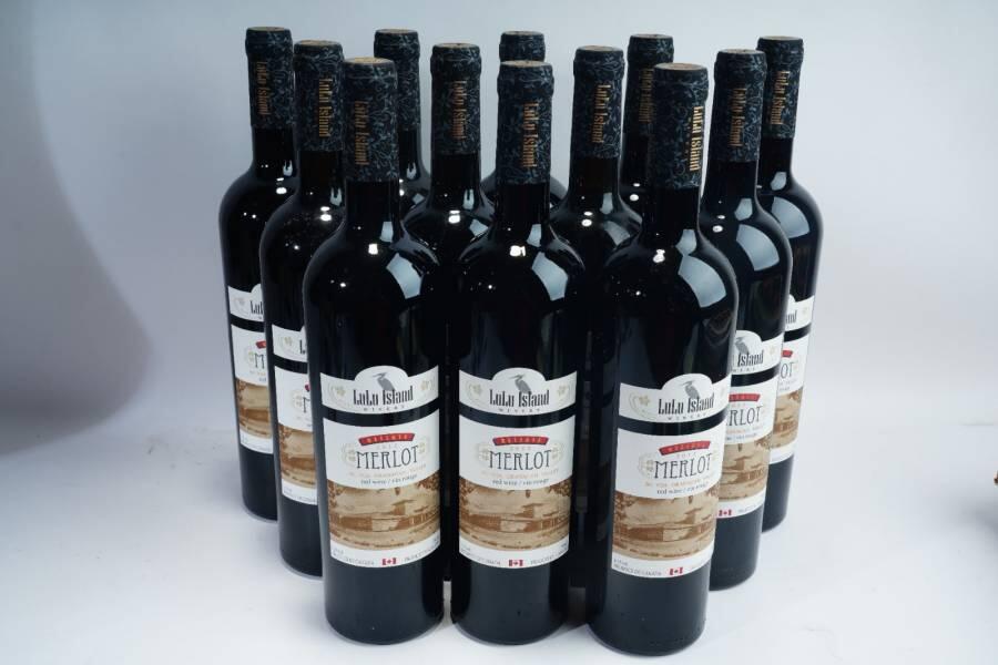 上海都达杂项专场五（全场包邮） 加拿大VQA级鹭岛酒庄Merlot梅洛红葡萄酒750ml13.5度 12瓶