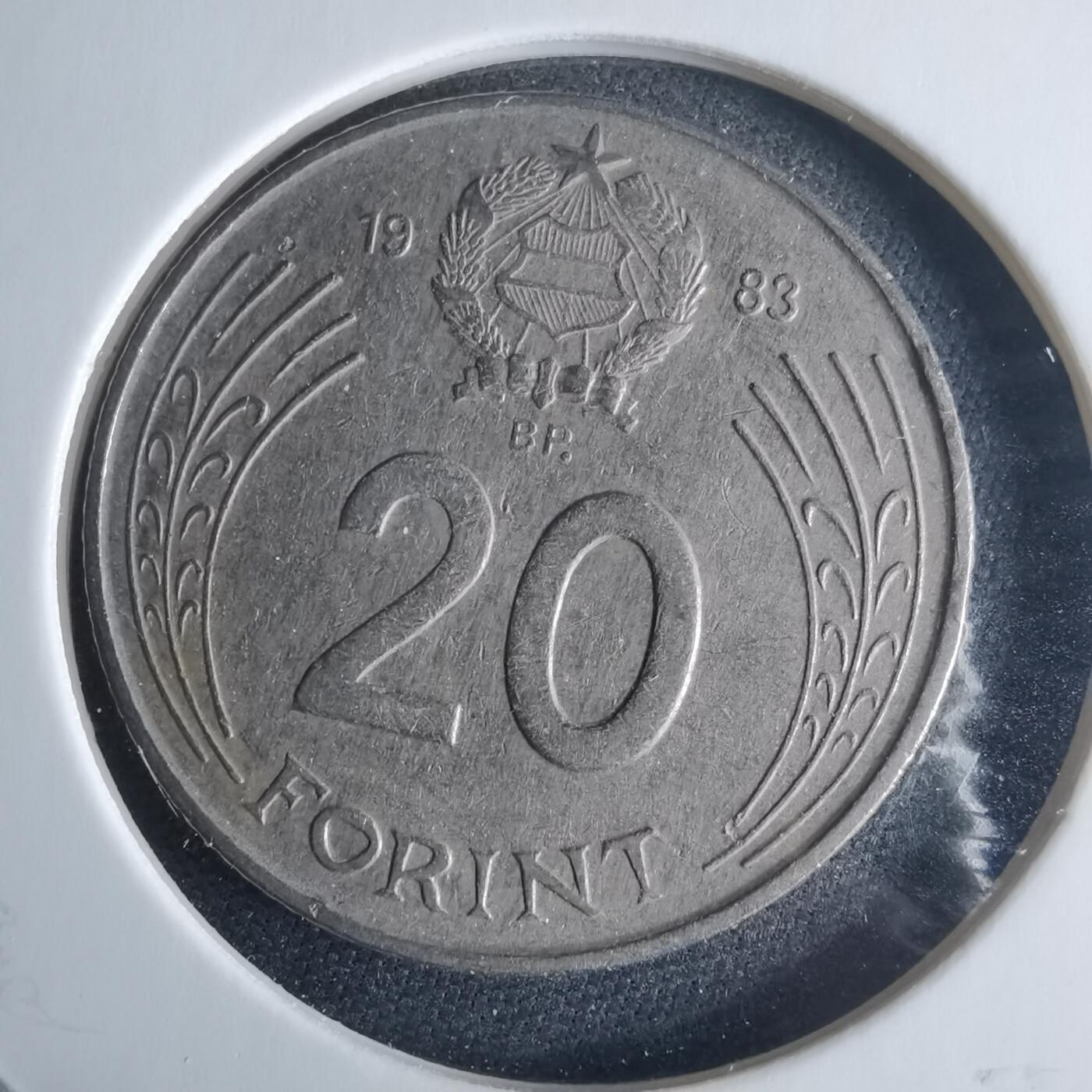 沼泽如烟--第970场