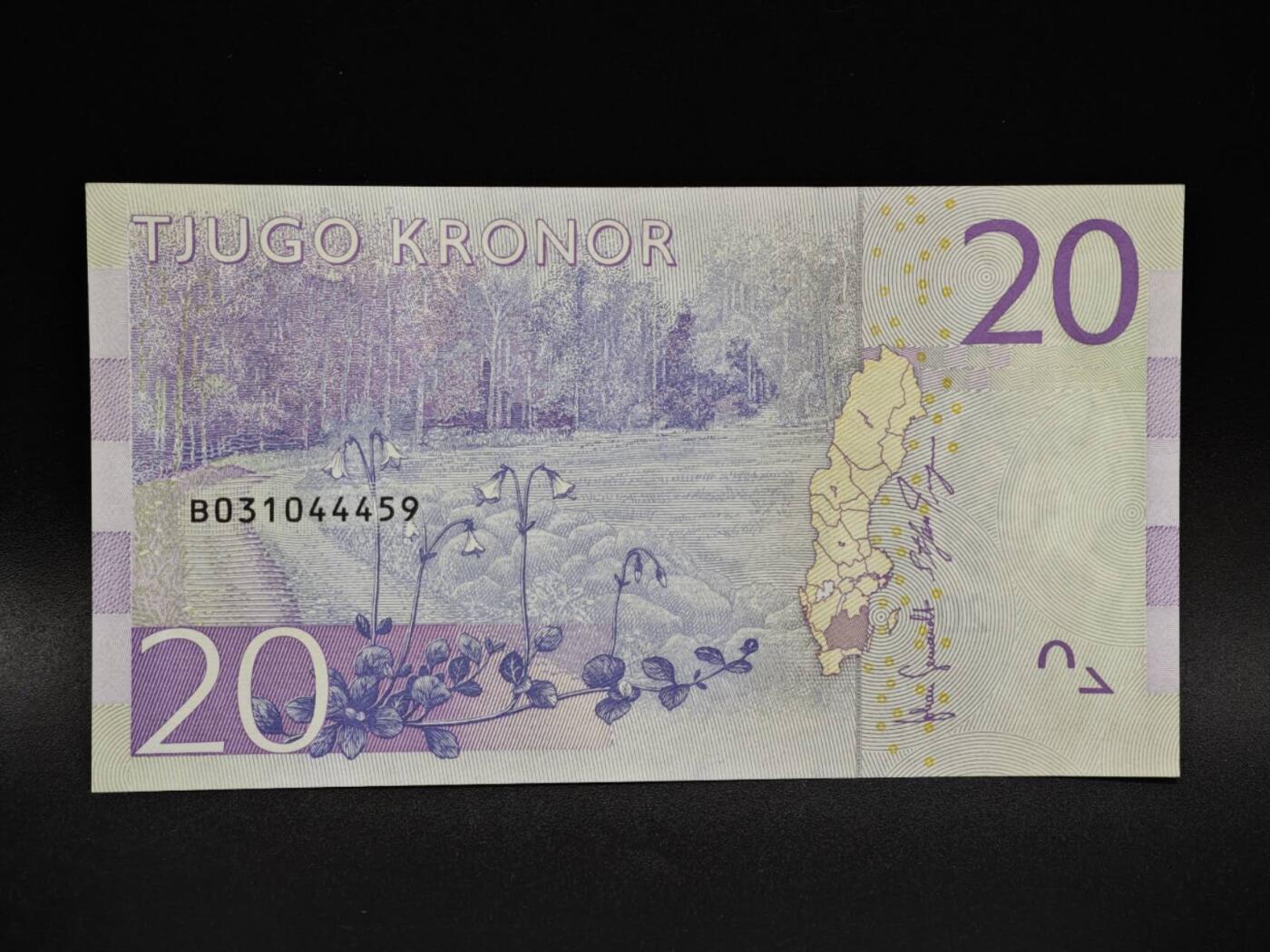 【淘币小摊】限时拍第八百五十二拍  无佣金福利纸币场  满百包邮可预留两周  周一统一发货  瑞典20克朗纸币【全新】