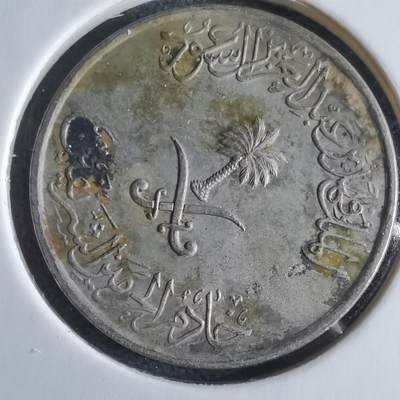 沼泽如烟--第969场 - 沙特