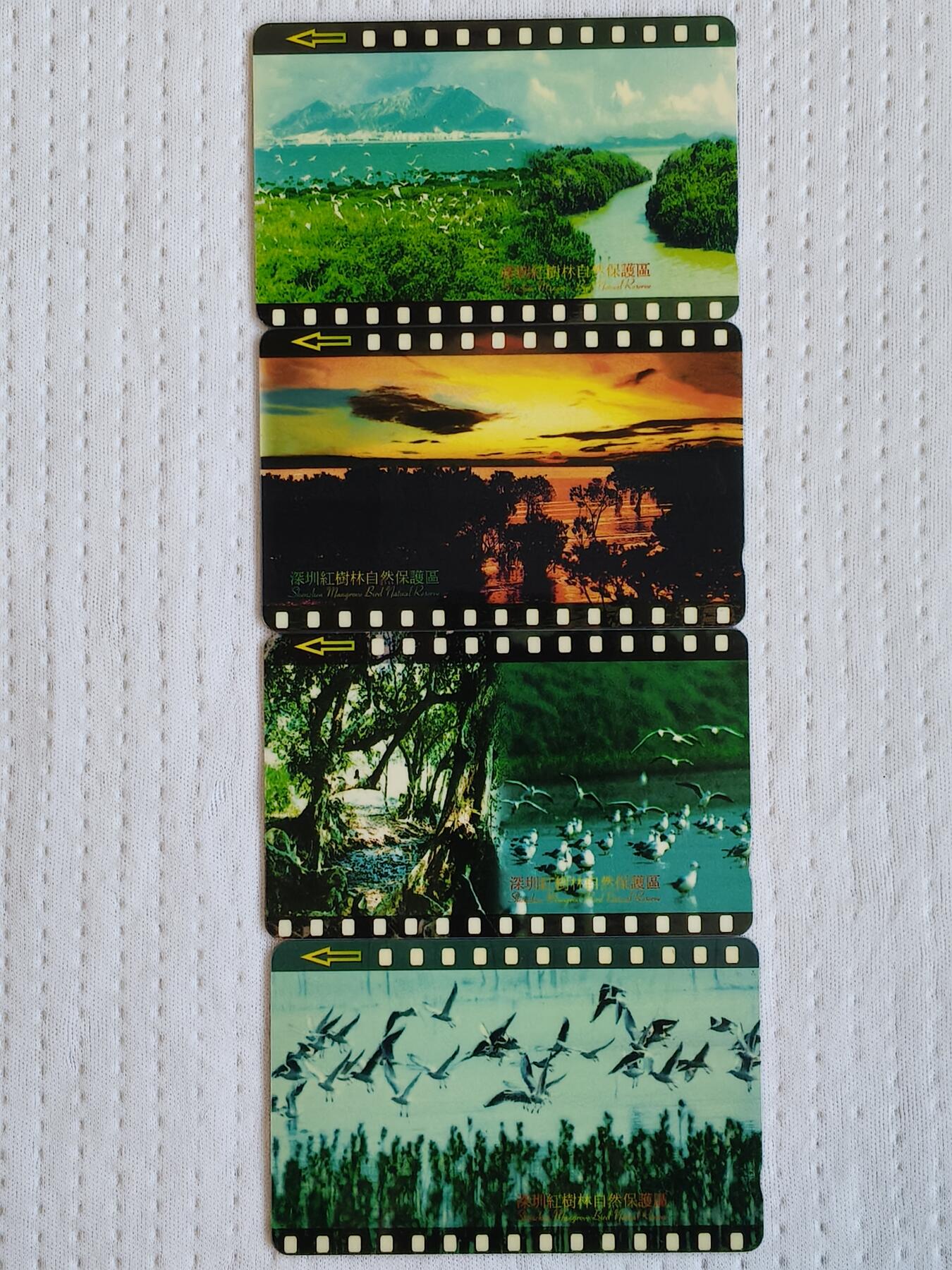 易卡拍卖第72期 深圳：红树林。（精品地方卡系列）全新卡。品相非常好。如图所示！