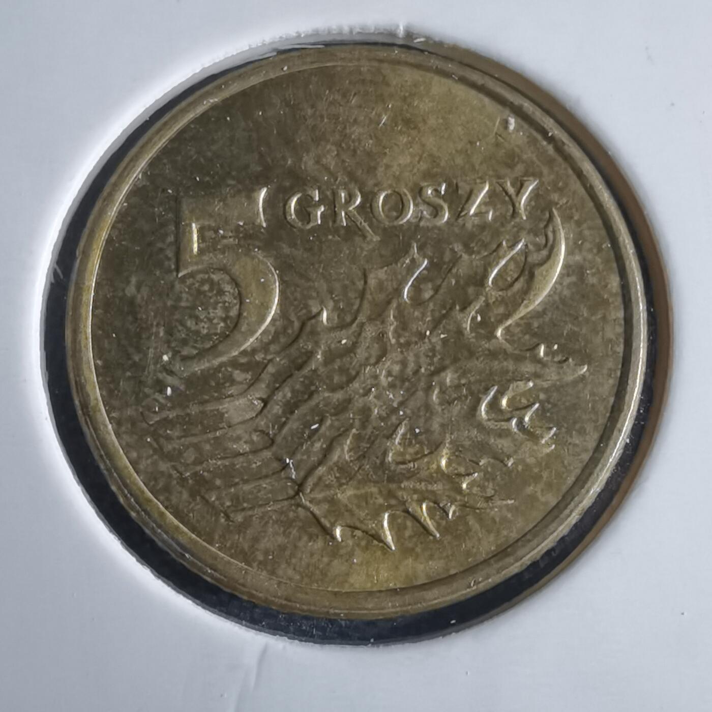 沼泽如烟--第969场 波兰2009年5格罗申