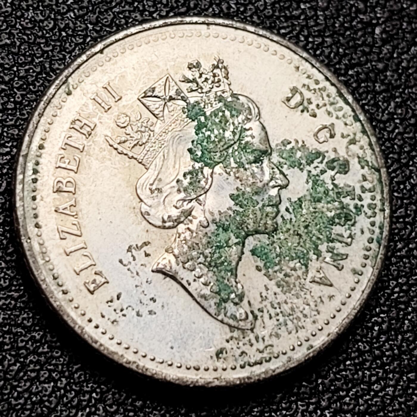 泉币菌-第173场- 精品福利场 。