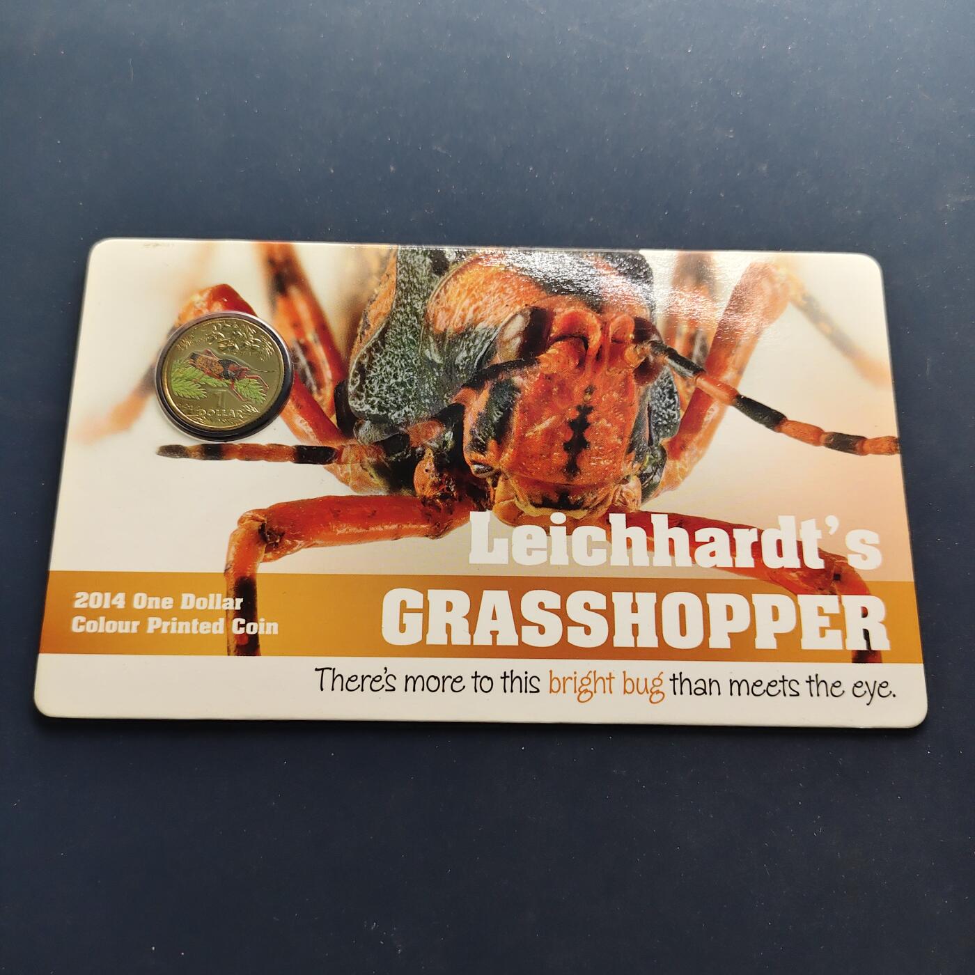 【全场包邮】纯粹捡漏拍497场-持续更新中 澳大利亚2014年1元彩色昆虫系列官方卡装彩色纪念币3枚一组-红牛蚁+杜鹃黄蜂+莱奇哈特蚱蜢