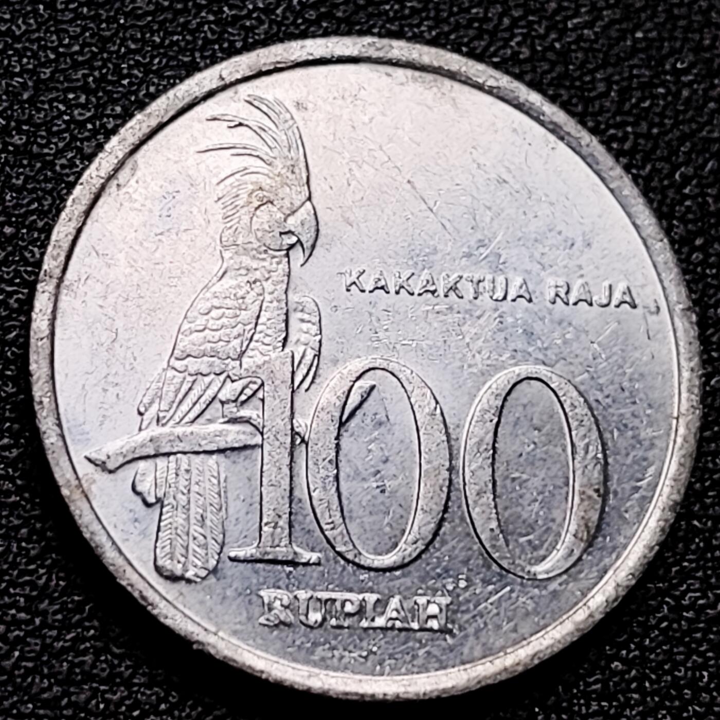 泉币菌-第173场- 精品福利场 。