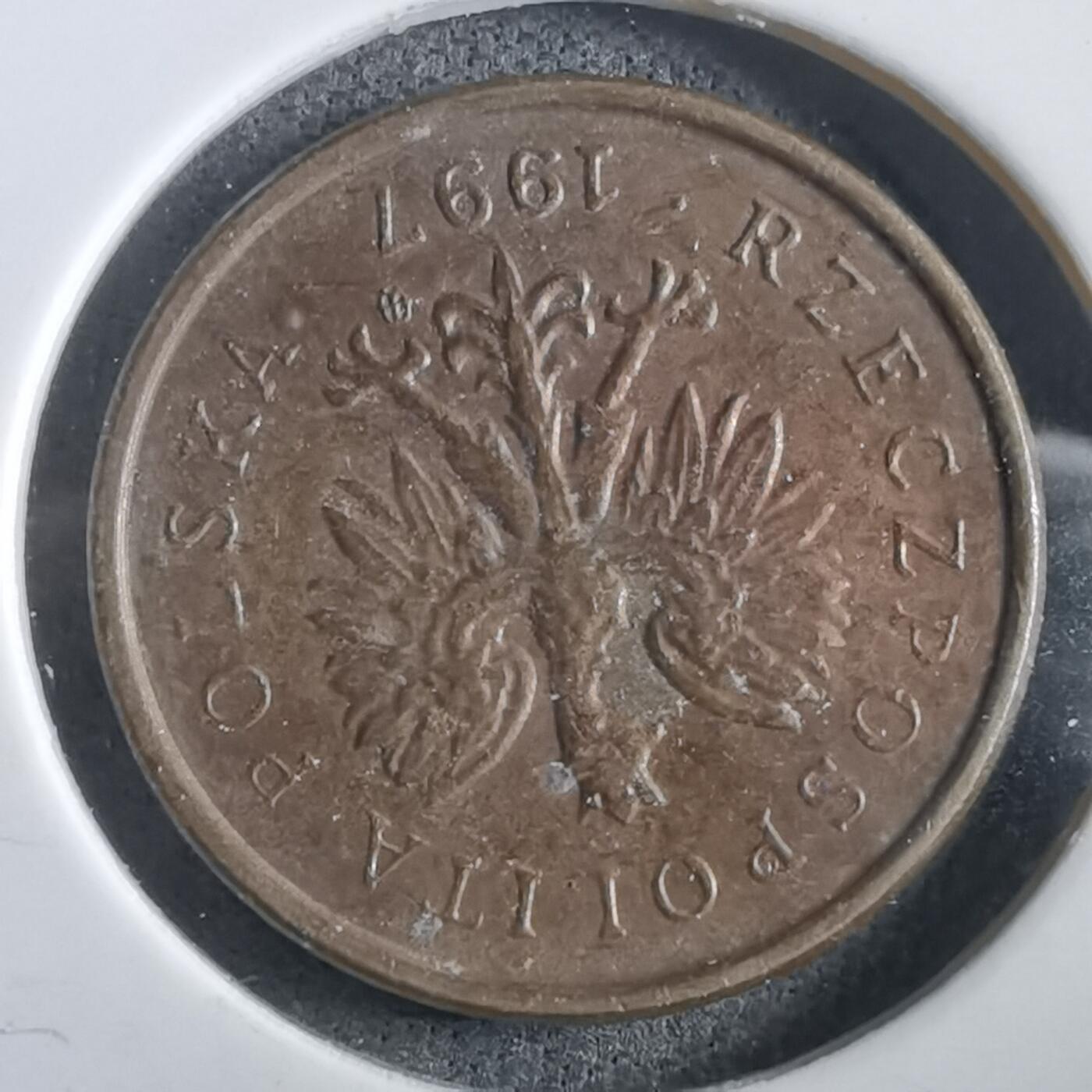 沼泽如烟--第969场 波兰2007年2格罗申