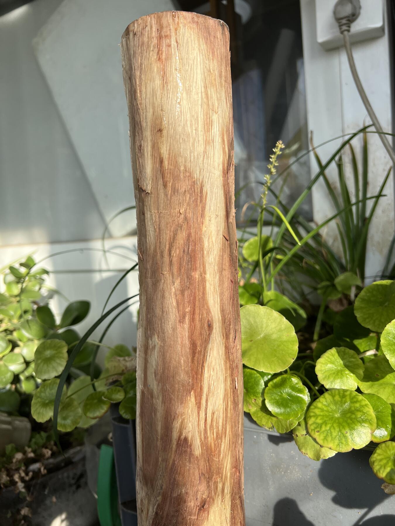 零元拍：  NO.128海南黄花梨珠子料 ，鬼脸还挺多，做烟杆手杖擀面杖，做四对手球没问题。尺寸约475/65/85MM，三斤多重