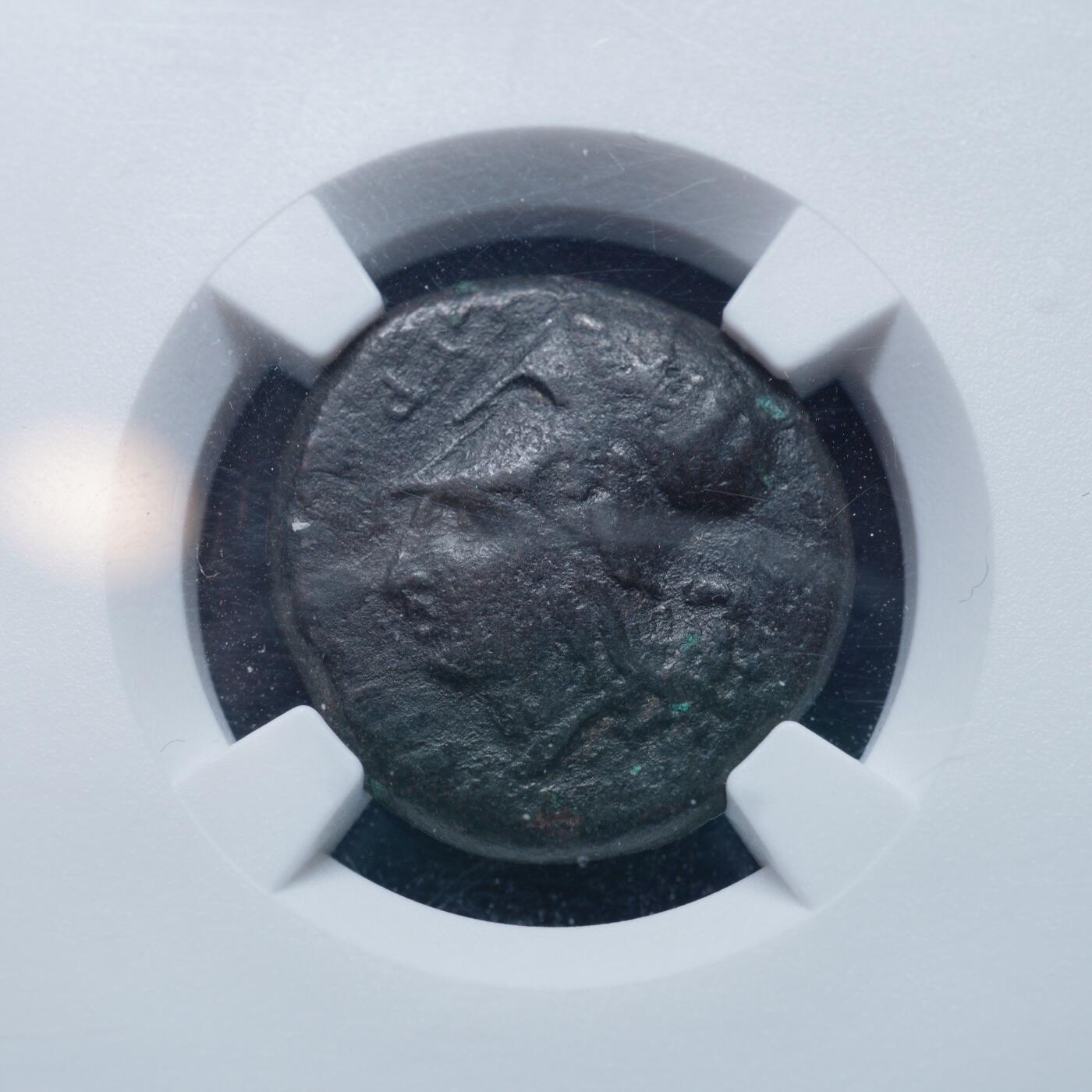 琋语集藏2026年02月欧洲古典打制币拍卖 古希腊西西里叙拉古雅典娜与带翅膀的海马铜币（NGC评级）