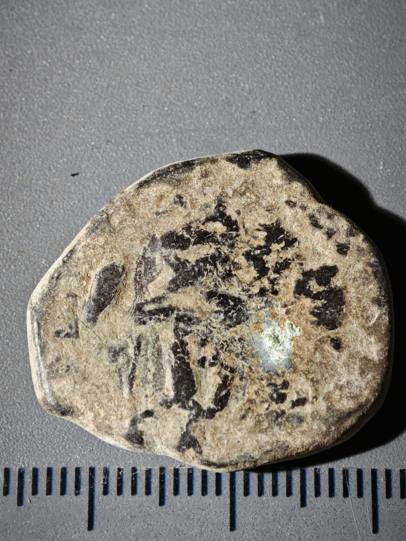 110期新疆红钱粟特钱币丝路钱币专场 B丝路铜币