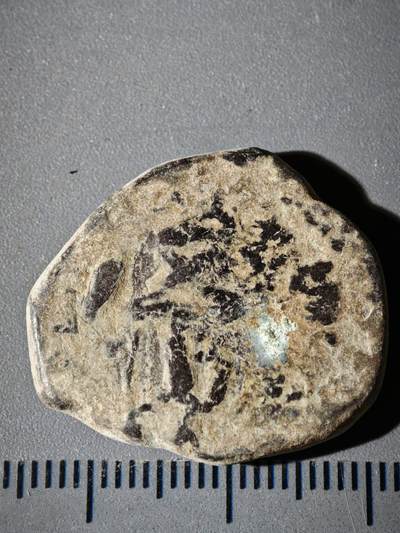 110期新疆红钱粟特钱币丝路钱币专场 - B丝路铜币