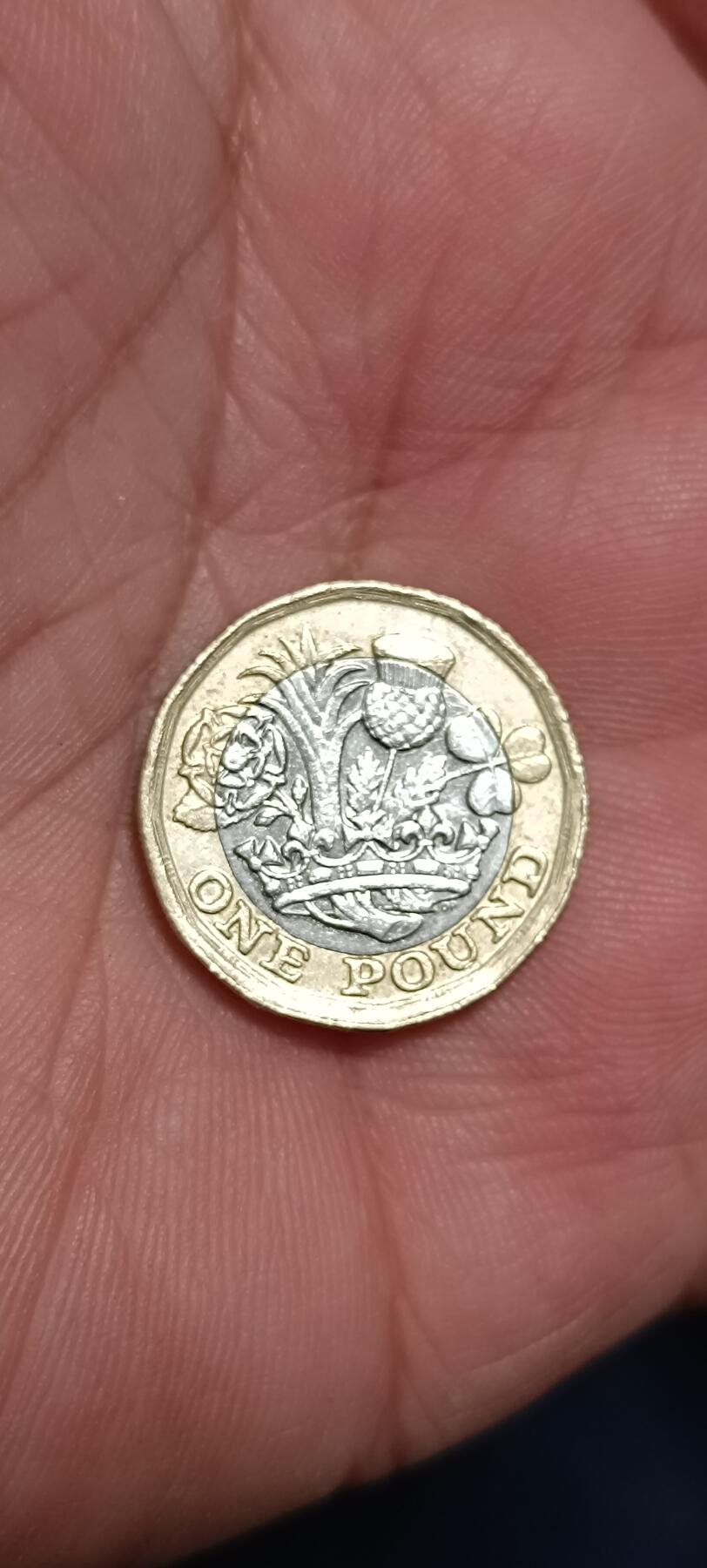 万国钱币阁第八场 双色1英镑