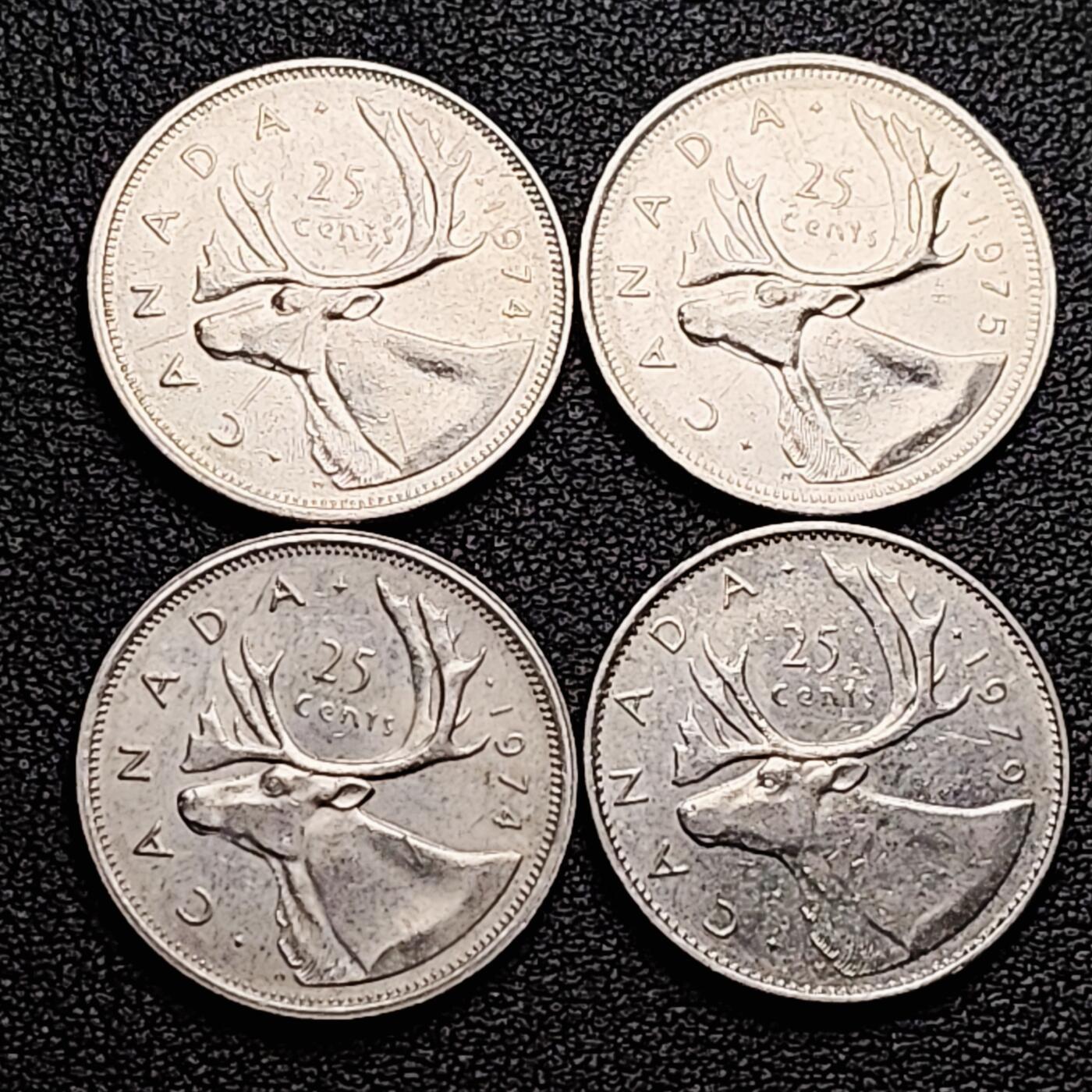 泉币菌-第173场- 精品福利场